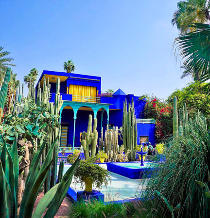 بناء باللون الازرق و صبار يحيط به يمثل حديقة الماجوريل في مراكش المغرب