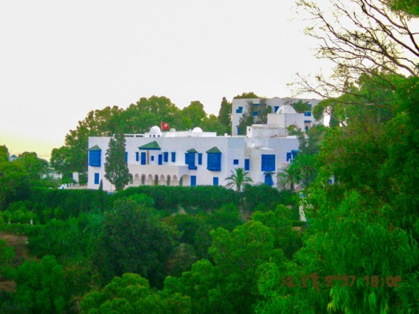 بناء جميل باللونين الازرق والابيض واشجار خضراء في قصر النجمة الزهراء في سيدي بوسعيد