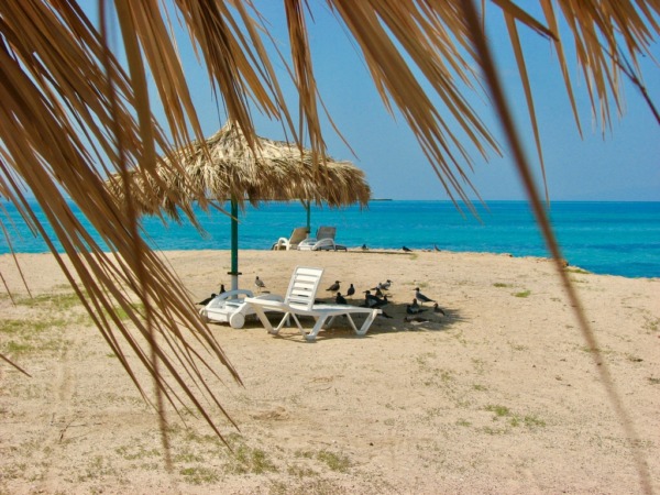 جزر موشا ومسكالي .. سحر الطبيعة في جيبوتي