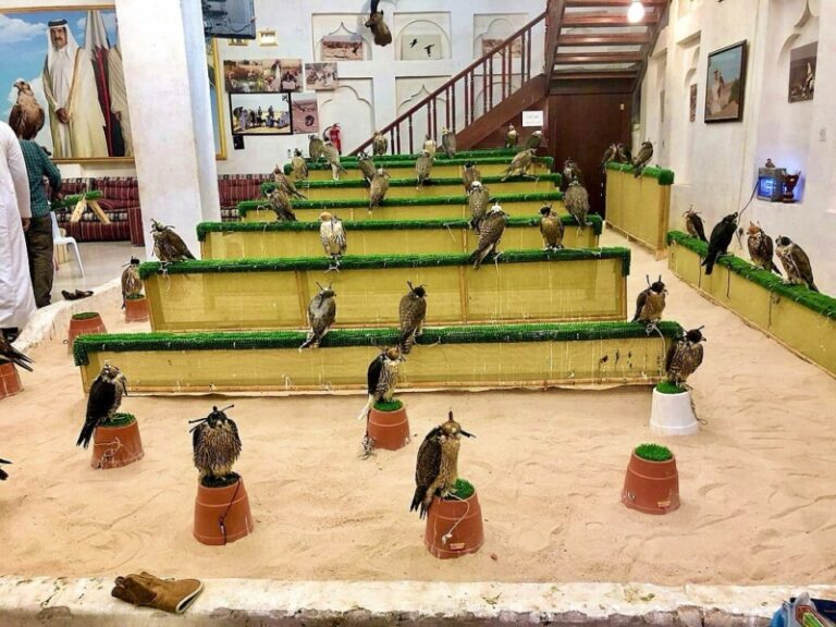  الصقور سوق واقف قطر (5)
